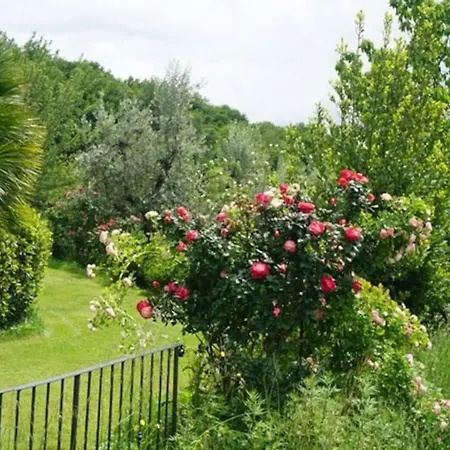 Casa Pancore *